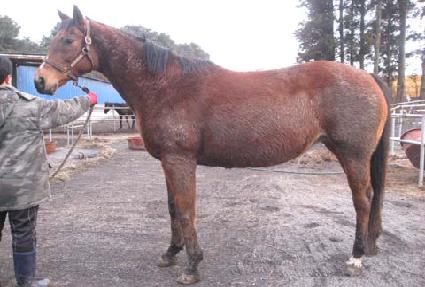 �δ��� ����