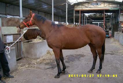 ���������� ����