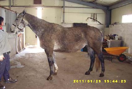 ����Ƽ�� ����