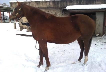 �۴��� ����