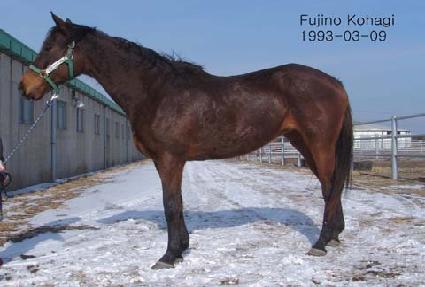 ���������ϱ� ����