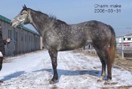 ������ũ ����