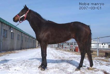 ������� ����