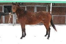 SENSORIOUS KISS picture