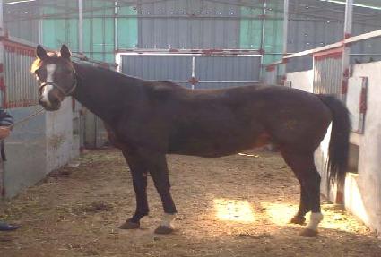 ���и���Ʈ���̵� ����