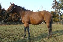 ���������� (I��LL TAKE TWO) ����