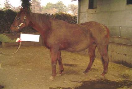 ���ν��������� ����