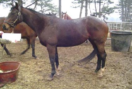 ���ε��󺸾��� ����