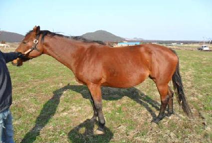 ��Ÿ���ο� ����