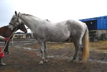 �׽��͸�Ʈ ����