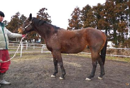 ��Ÿ�� ����