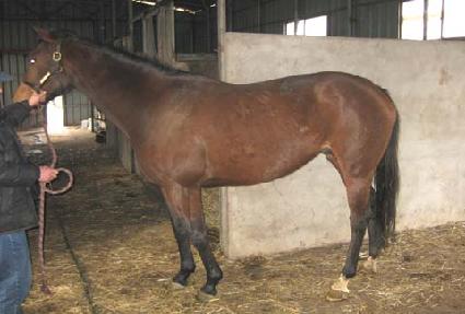 ����ȣũ������ ����