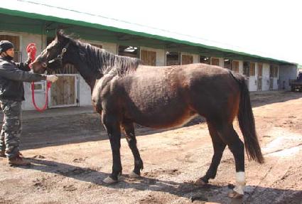 �����Ͻ�Ʈ ����