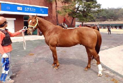 �Ͻù��� ����