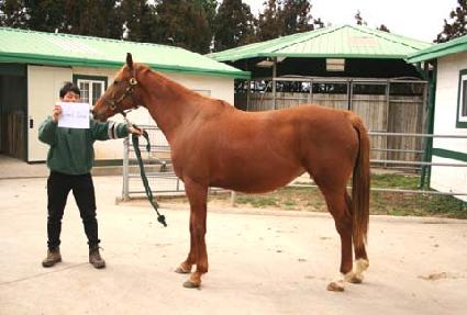 ���ʷ����� ����