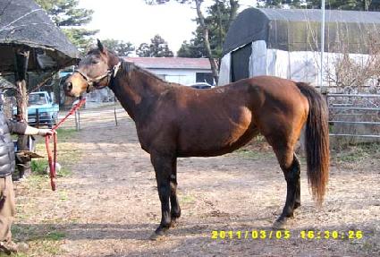 �̽������� ����