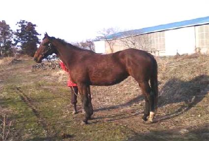 ���δ��� ����