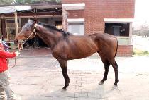 ���н�Ÿ (MOONHAK STAR) ����