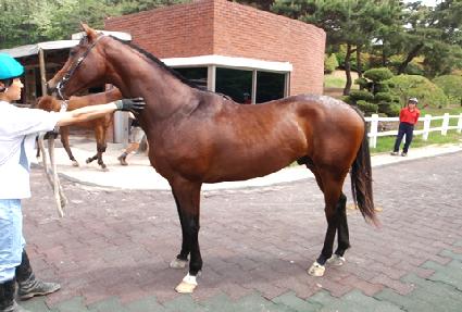 �����ǰ��� ����