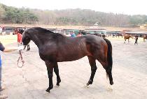 ���б���ī (MOONHAKGUSKA) ����