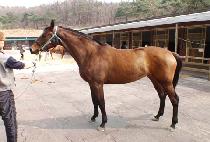 ����ĵ�� (MOONHAK CANDY) ����