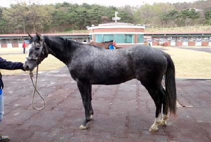 �����߱׷��� ����