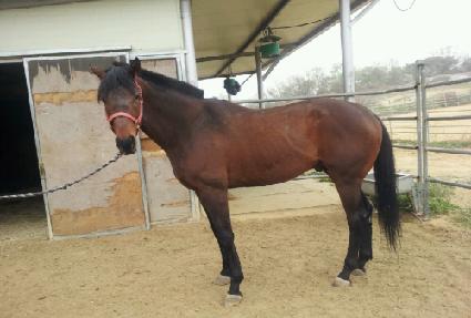 ����Ƽ���� ����