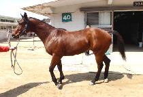 ���и� (MOONHAKMAN) ����