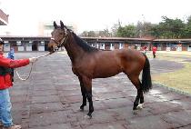 ���к��� (MOONHAK BOW) ����