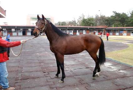 ���к��� ����