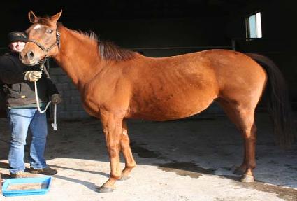 ��������Ʈ ����