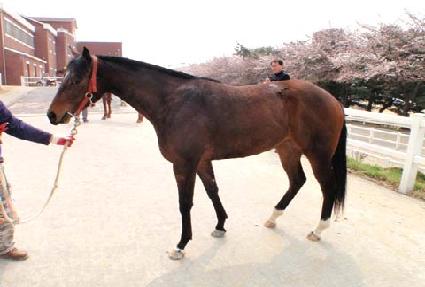 �Ÿ����崫 ����