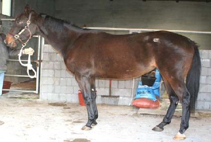 Ʈ�����ۼ� ����