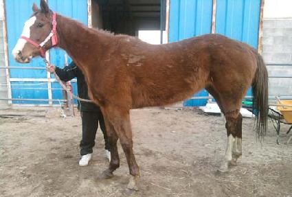 Ȧ������̺� ����