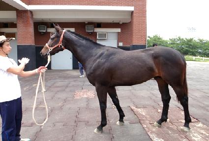 �����빰 ����