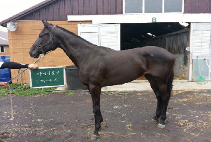 Ÿ�̰ŷο� ����