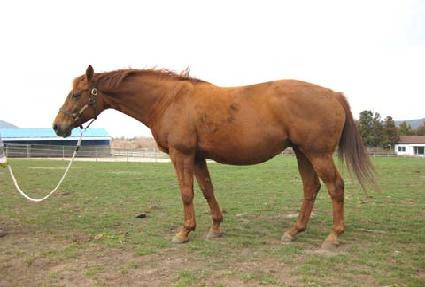 �����δ��� ����