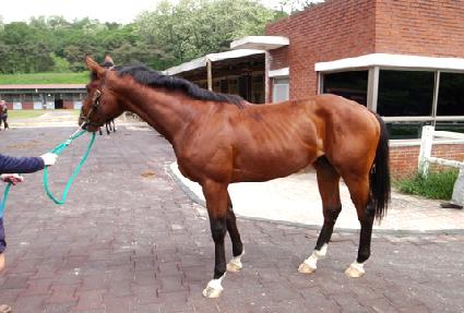 ġ��õȲ ����