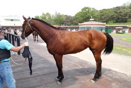 ������� ����