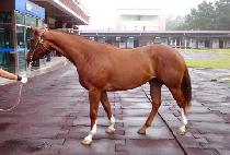 �����Ǻ��� (MUNHAGUI VISION) ����