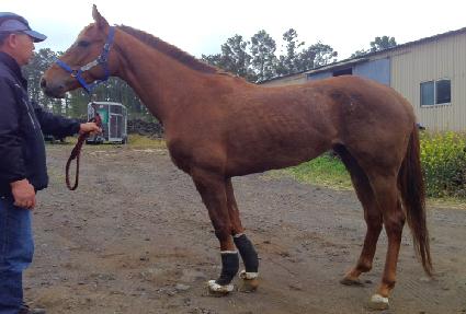 ���ж��̾� ����