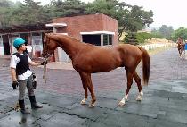 �̽��͹��� (MR. MOONHAK) ����