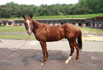 ����Ʈ�̾ (LIGHT YEAR M) ����