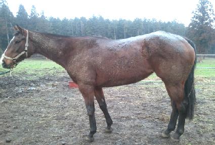 ����Ƽ���� ����