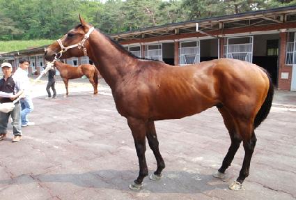 ���� ����