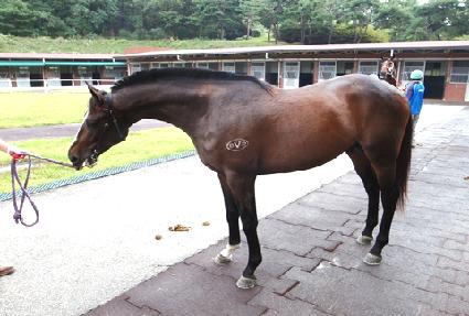 ������������ ����