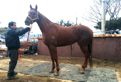 �Ͽ��꼱�� ����