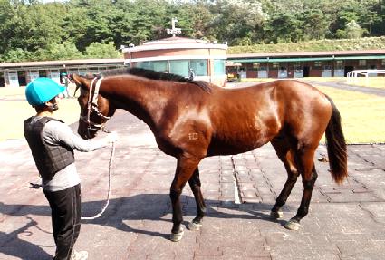 �ұ�����Ƽ ����