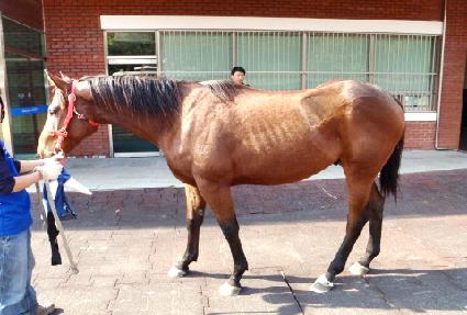 ��Ʈ����Ʈ ����