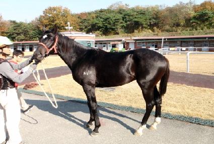 ���ϰ��� ����